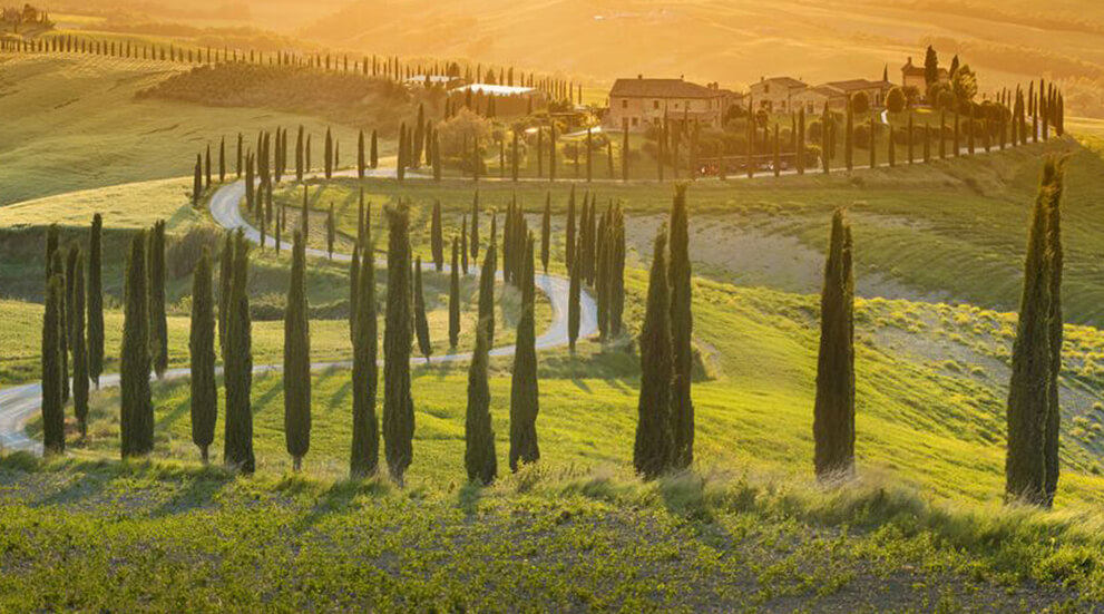 Euro Etrusca Real Estate Agency