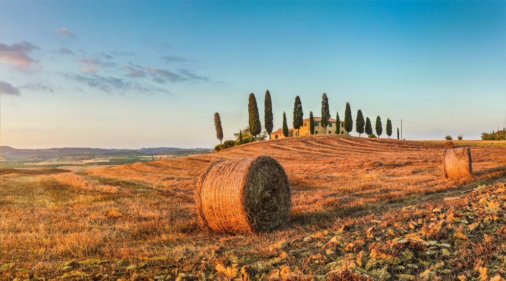 Euro Etrusca Real Estate Agency