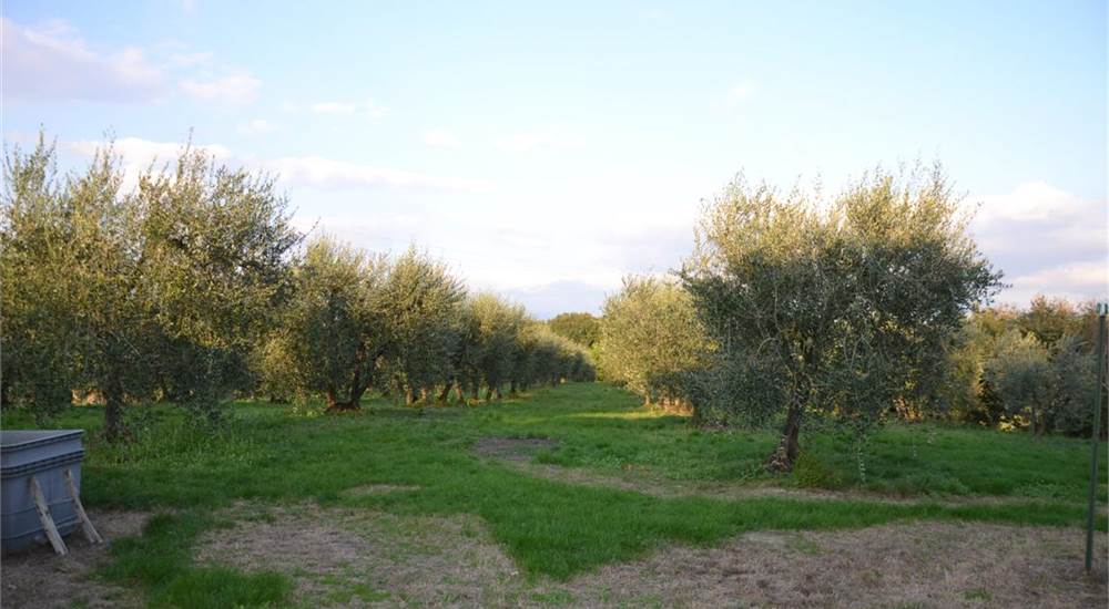 Photo 27